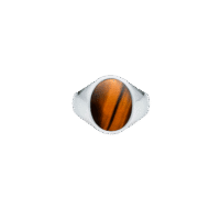 IX Oval Signet Ring Tiger Eye Silver