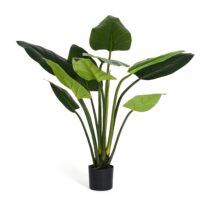 4EverGreen