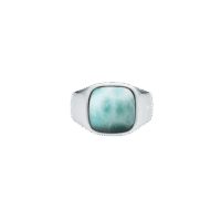 IX Cushion Signet Ring Larimar Silver
