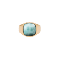 IX Cushion Signet Ring Larimar